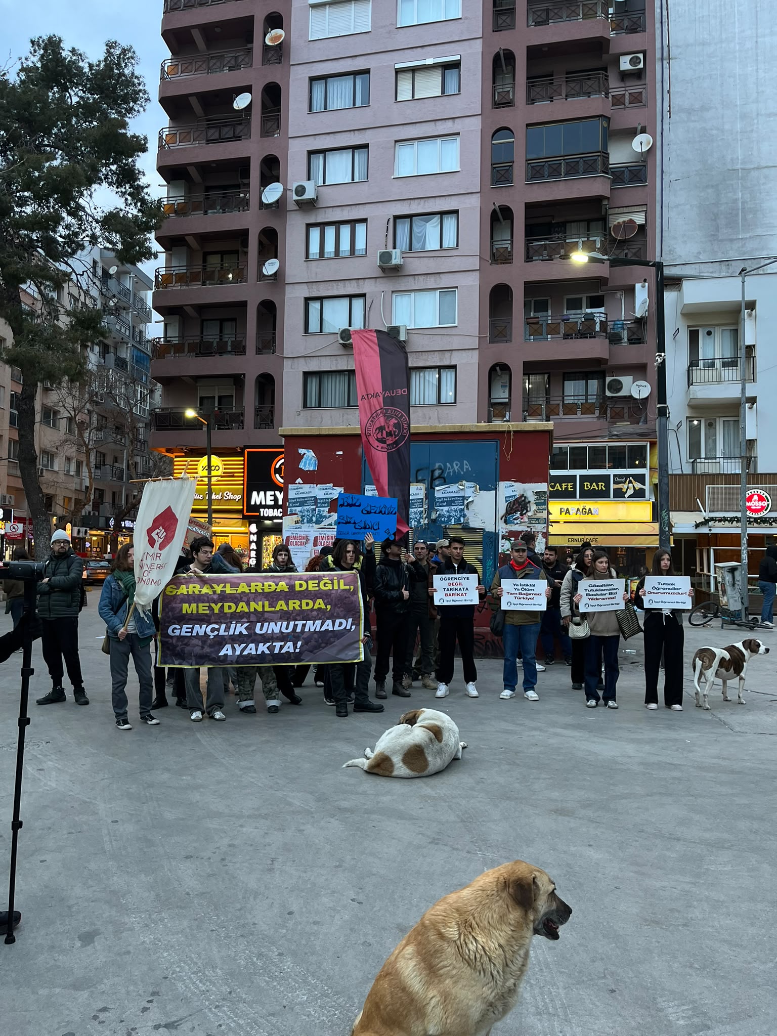 Örgütsüz Örgütlenmek Mümkün mü?